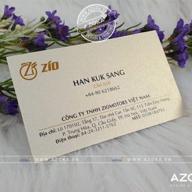 Mẫu card visit mỹ thuật công ty Zio