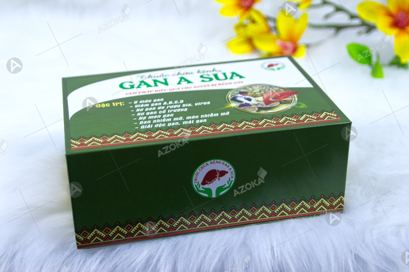 Mẫu hộp dược phẩm thương hiệu Gan A Súa
