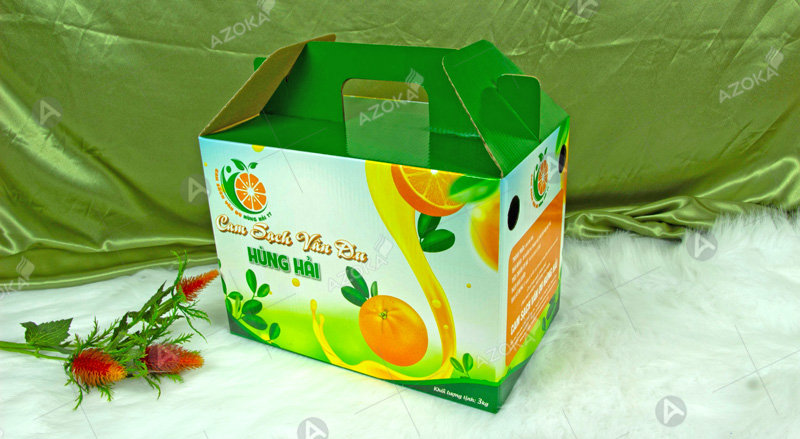 Làm thùng carton 3 lớp đựng trái cây thương hiệu Hùng Hải