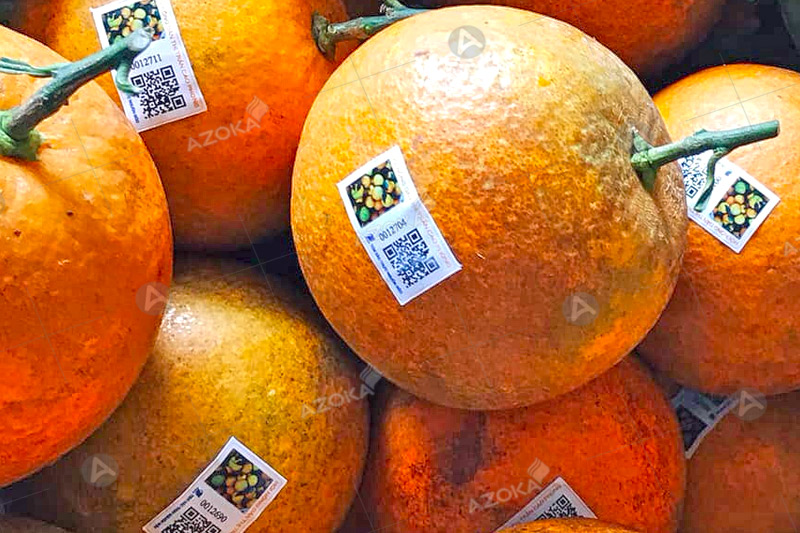 Mẫu tem truy xuất hàng hóa trái cây cho các cửa hàng