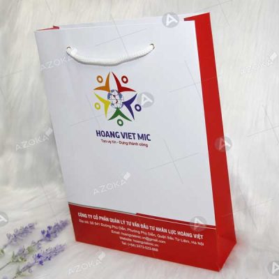 Mẫu túi giấy đựng quà tặng của Hoàng Việt MIC