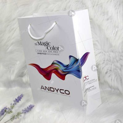 Mẫu túi giấy đựng sản phẩm của Andyco