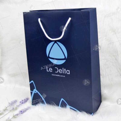 Mẫu túi giấy đựng quà tặng của Le Delta