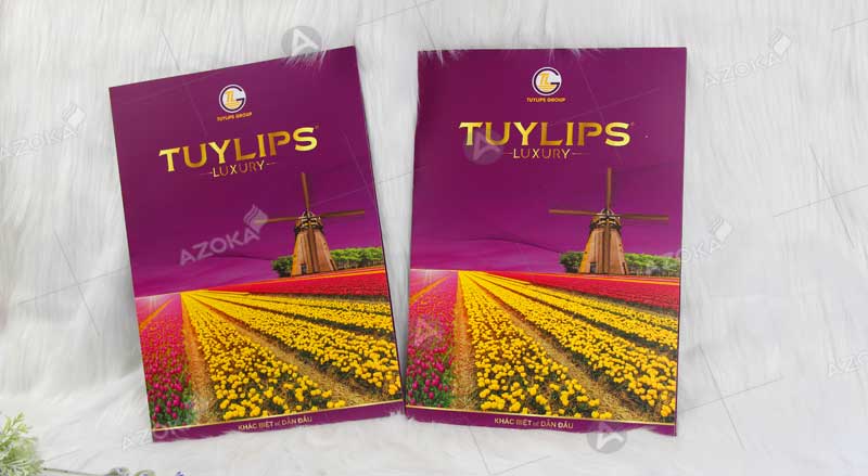 Mẫu catalogue giới thiệu công ty của TUYLIPS do Azoka thiết kế