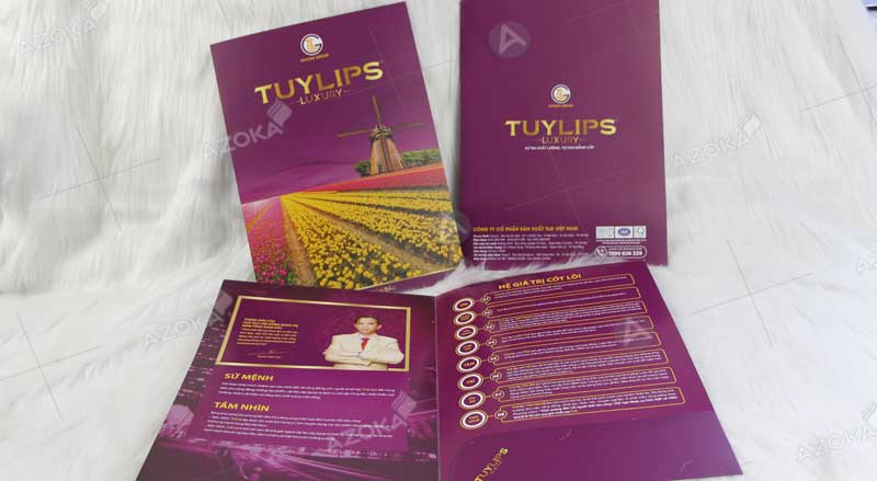 Mẫu catalogue giới thiệu công ty của TUYLIPS do Azoka thiết kế
