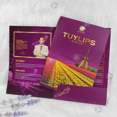 Mẫu catalog giới thiệu công ty đẹp của TUYLIPS
