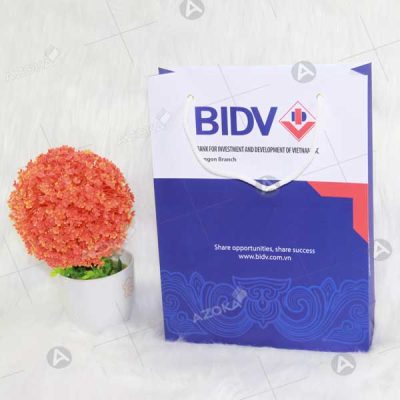 Mẫu túi giấy đẹp mắt của BIDV