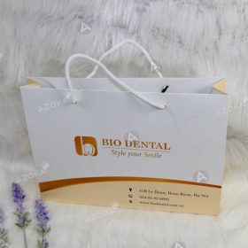 Mẫu túi giấy độc đáo của Bio Dental