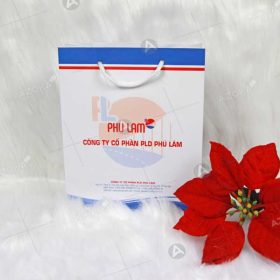 Mẫu túi giấy đựng quà của Phú Lâm