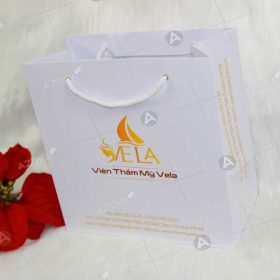 Mẫu túi giấy đựng sản phẩm của thẩm mỹ viện Vela