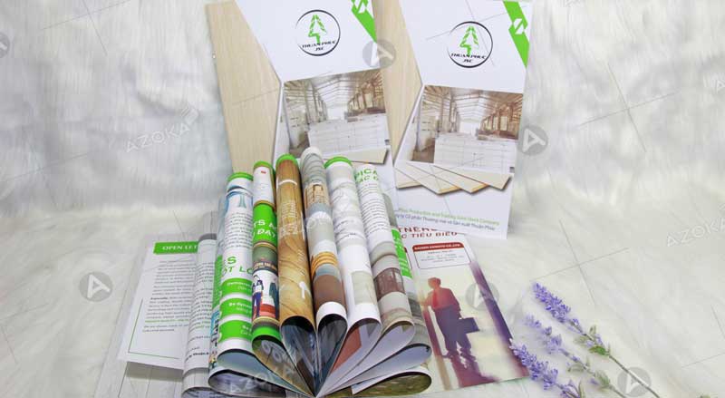 Mẫu catalogue giới thiệu sản phẩm của Thuận Phúc 3