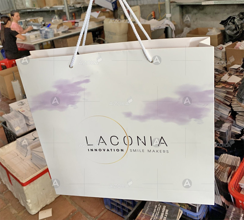 Túi giấy đựng quần áo thời trang Laconia