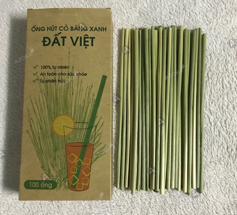 In bao bì hộp giấy đựng ống hút cỏ bàng xanh Đất Việt