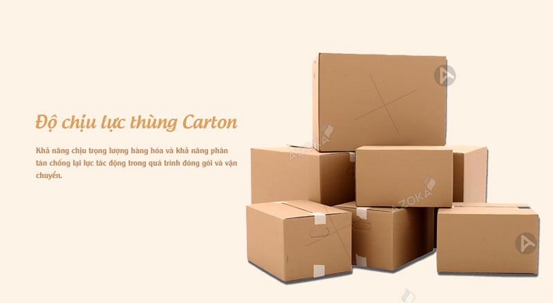 Tìm hiểu độ chịu lực của thùng carton