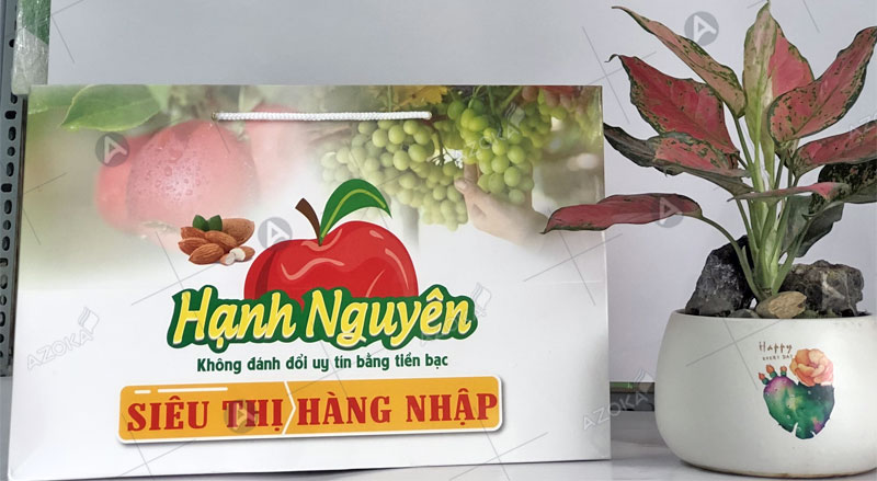 Túi giấy cửa hàng Hạnh Nguyên siêu thị hàng nhập