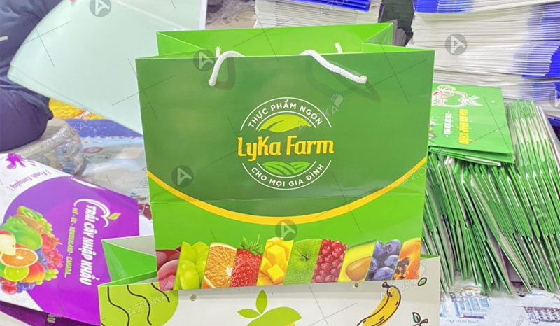 Bao bì túi giấy đựng thực phẩm ngon Lyka Farm