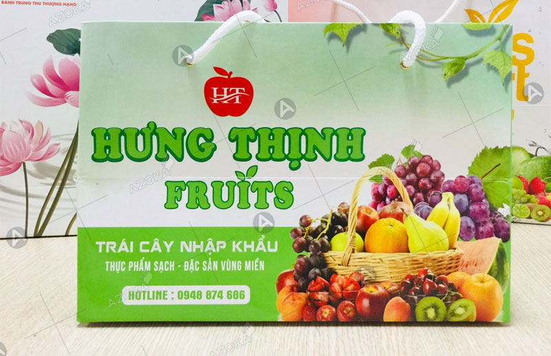 Mẫu túi giấy đựng hoa quả shop Hưng Thịnh Fruits
