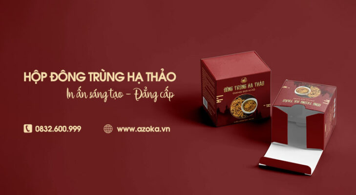 Xưởng in hộp giấy đựng đông trùng hạ thảo cao cấp giá tốt