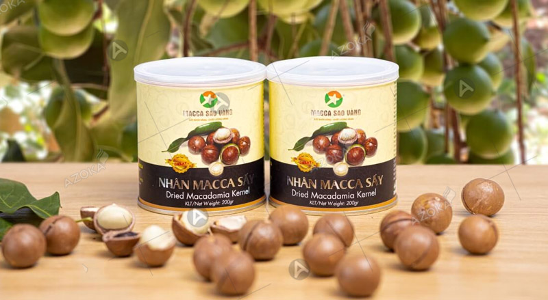 In hộp trụ tròn (lon giấy) đựng hạt macca