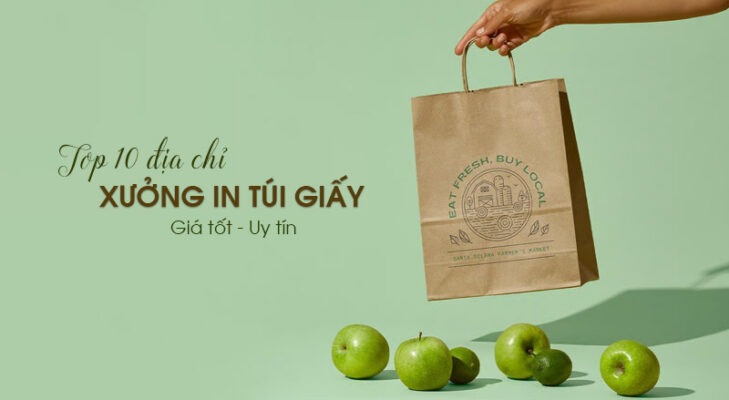 Top 10 xưởng in túi giấy giá tốt, giao nhanh tại Hà Nội