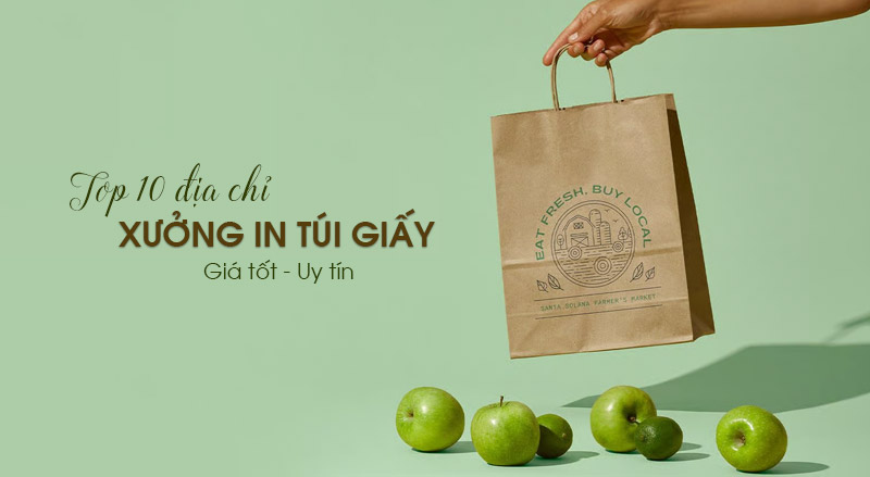 Top 10 xưởng in túi giấy giá tốt, giao nhanh tại Hà Nội