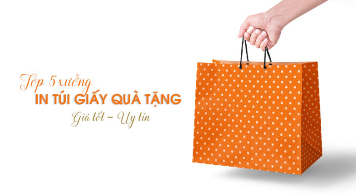 Top 5 xưởng in túi giấy đựng quà tặng giá rẻ tại Hà Nội