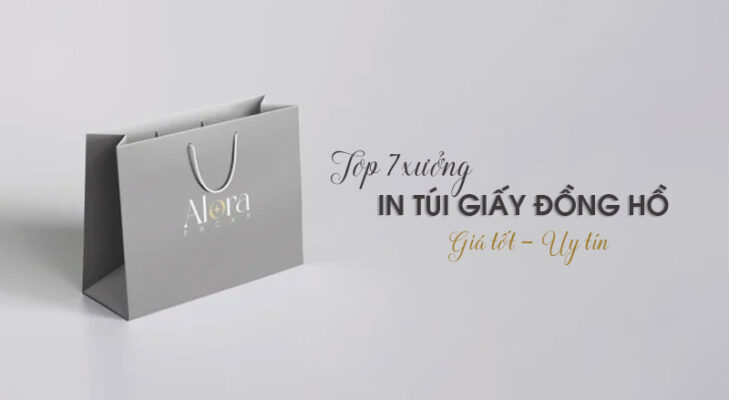 Top 7 địa chỉ in túi giấy đựng đồng hồ uy tín tại Hà Nội