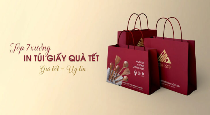 Top 7 xưởng in túi giấy đựng quà tết tại Hà Nội