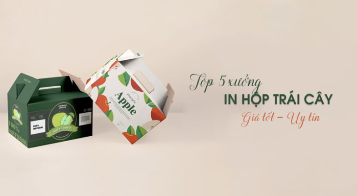 Top 5 xưởng in hộp giấy đựng hoa quả tại Hà Nội