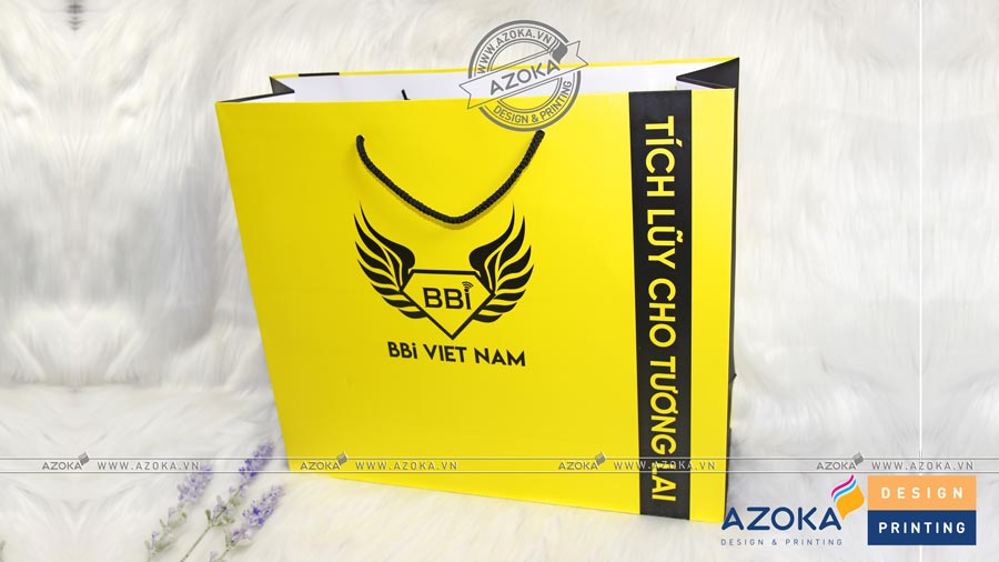 Mẫu túi giấy BBi Việt Nam