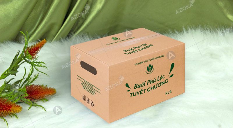 Thùng carton đựng bưởi Phú Lộc do Azoka thực hiện