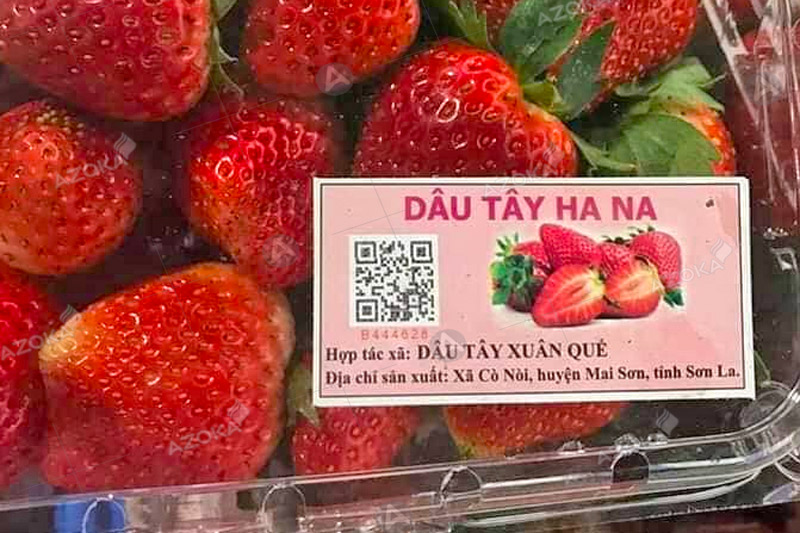 Mẫu tem truy xuất dâu tây của Hana do Azoka thiết kế
