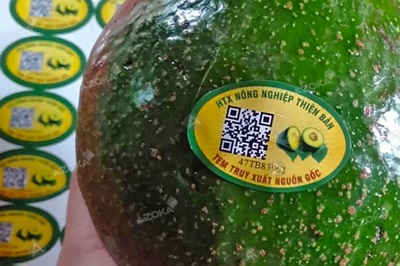 Mẫu tem truy xuất QR Code nông nghiệp Thiện Bản