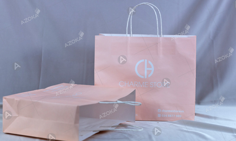 Mẫu túi giấy đựng quần áo CHARME STORE