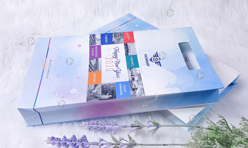 Mẫu túi giấy doanh nghiệp VICONSHIP