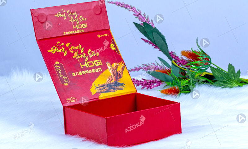 Mẫu hộp cứng đựng đông trùng hồng sâm HOGI