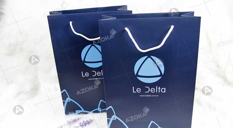 Mẫu túi giấy đựng quà tặng của Le Delta