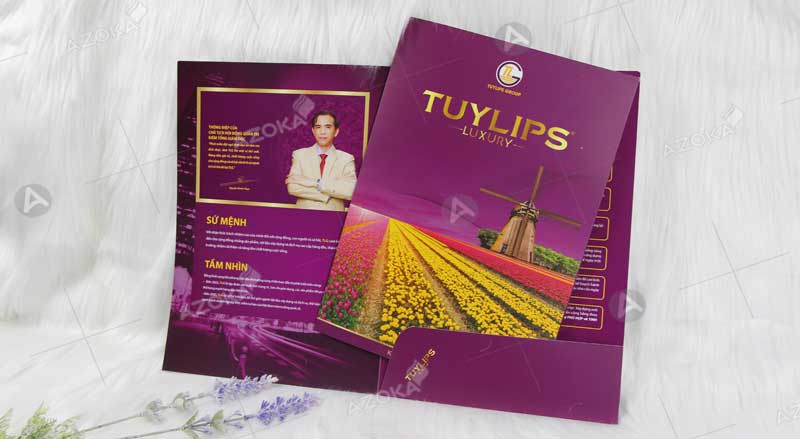 Mẫu catalogue giới thiệu công ty của TUYLIPS do Azoka thiết kế