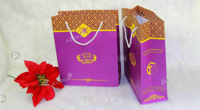 Mẫu túi giấy đựng hàng tiêu dùng Toàn Nga