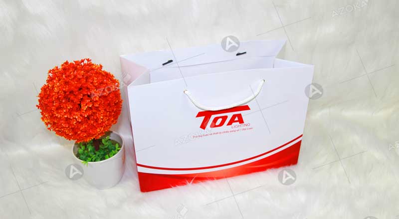 Mẫu túi giấy đựng quà tặng của TOA Lighting