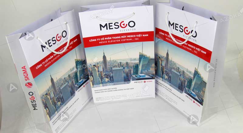 Mẫu túi giấy đựng quà tặng của Mesco