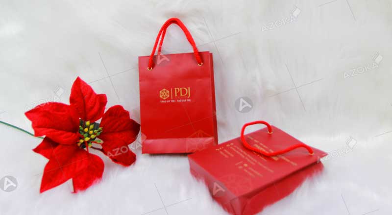 Mẫu túi giấy đựng trang sức PDJ