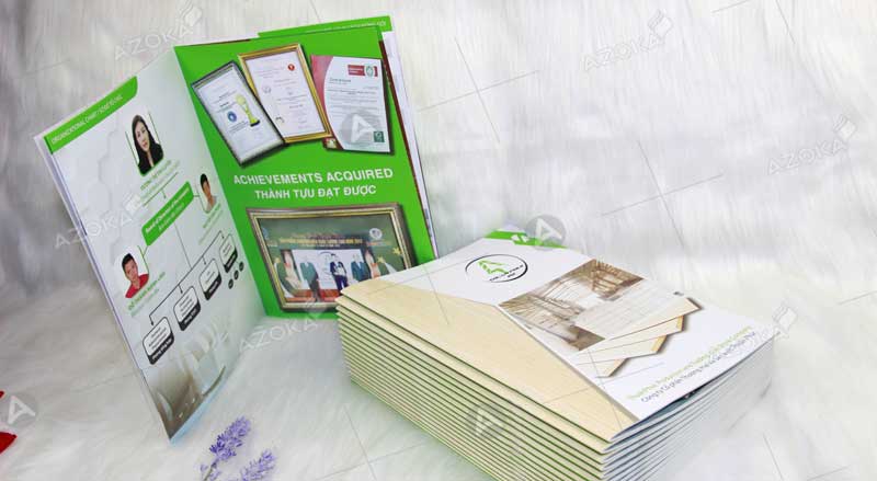 Mẫu catalogue giới thiệu sản phẩm của Thuận Phúc 2