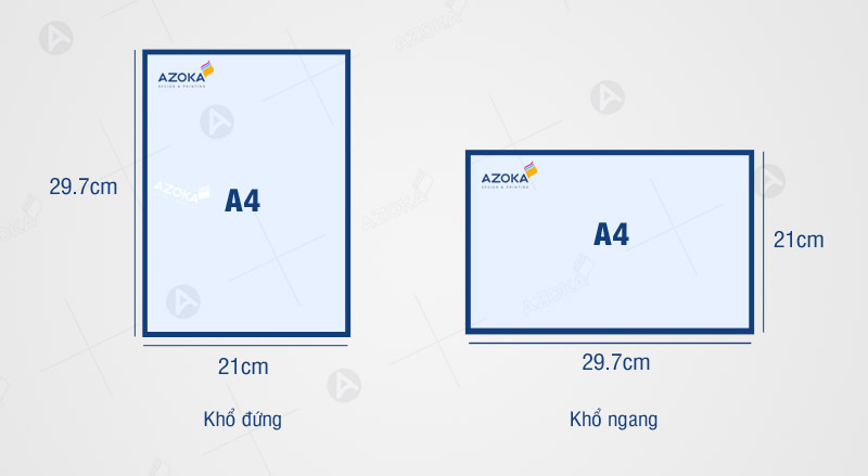 Kích thước catalogue tiêu chuẩn