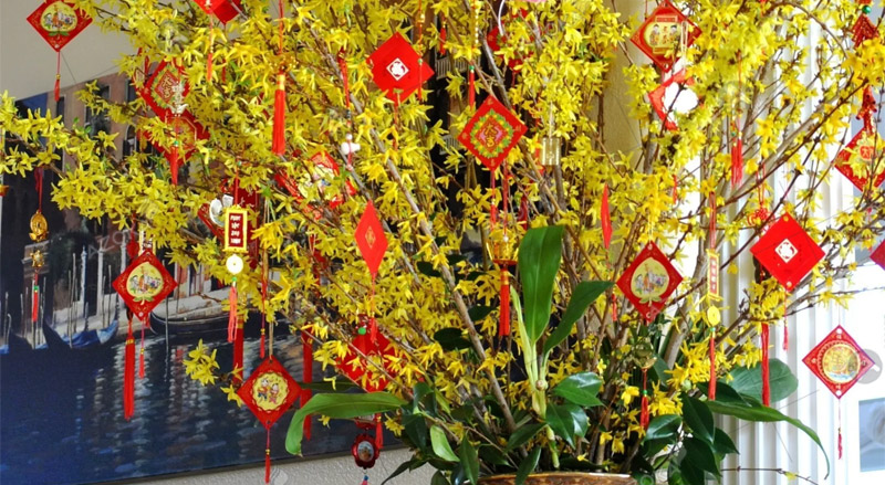 Ý nghĩa của việc trang trí bao lì xì treo cây mai