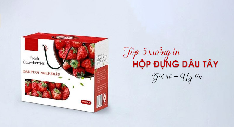 Top 5 xưởng in hộp giấy đựng dâu tây tại Hà Nội