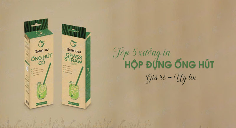 Top 5 xưởng in hộp giấy đựng ống hút tại Hà Nội