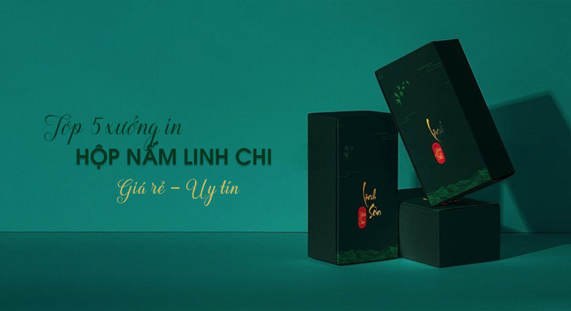 Top 5 xưởng in hộp giấy đựng nấm linh chi tại Hà Nội